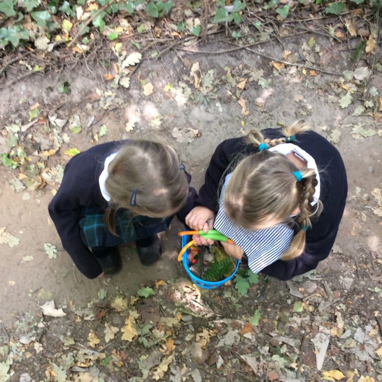The girls exploring nature